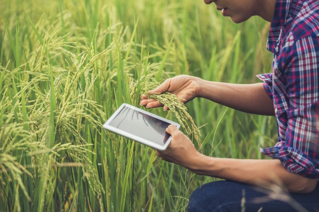 New Digital Transformation Program unveiled to boost Africa’s Agri-food sector