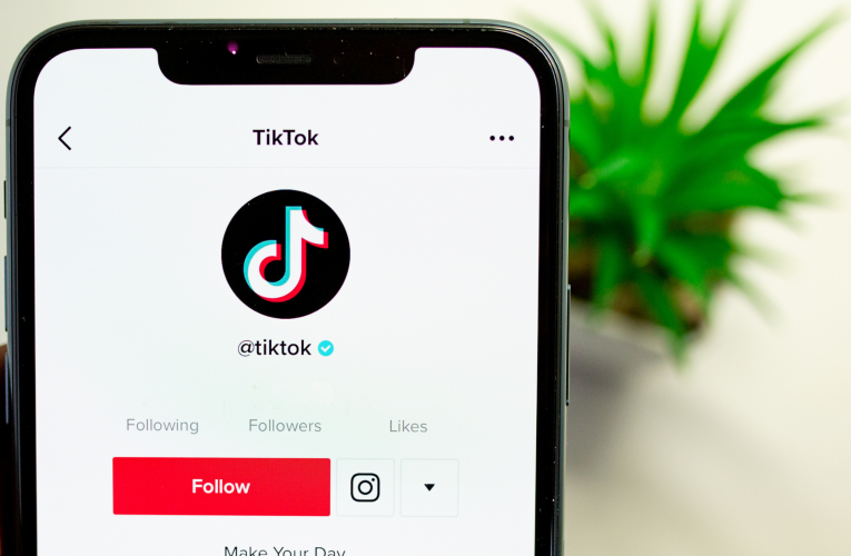 How TikTok Might Be the New Way to Do Your Business